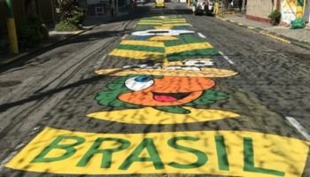OrnamentacaoBrasil (1)