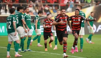 Palmeiras-x-Flamengo-Danilo