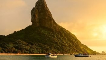 Projeto-Noronha-Verde-1