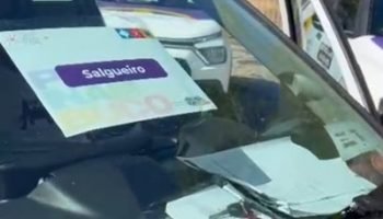 SalgueiroContemplado