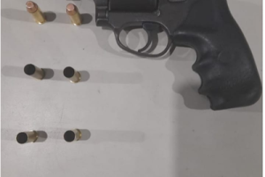 Screenshot_20260212-002203-854