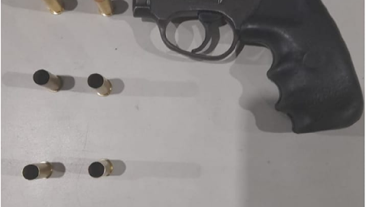 Screenshot_20260212-002203-854