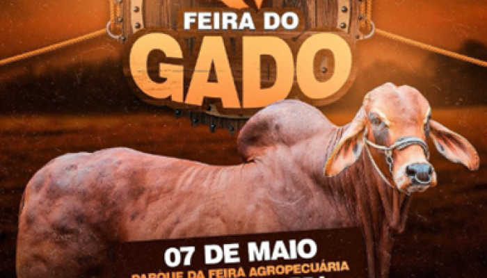 Sem título