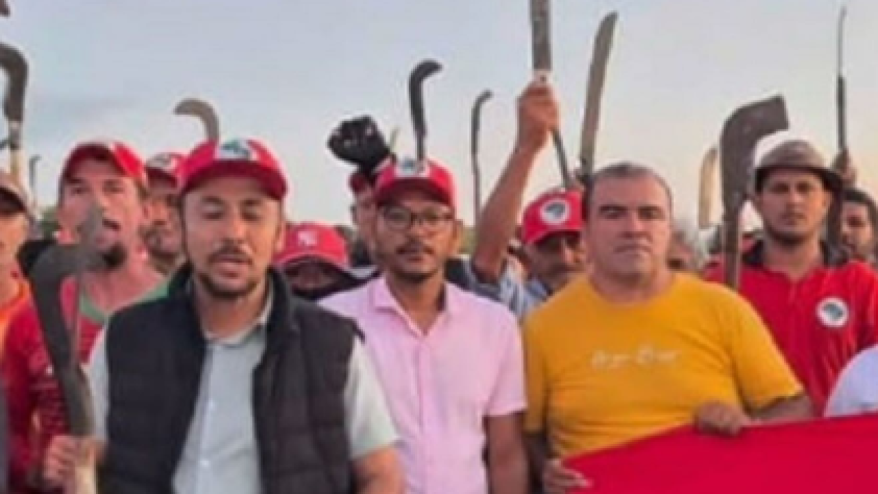 Sem-titulo-18 Sem-titulo-18