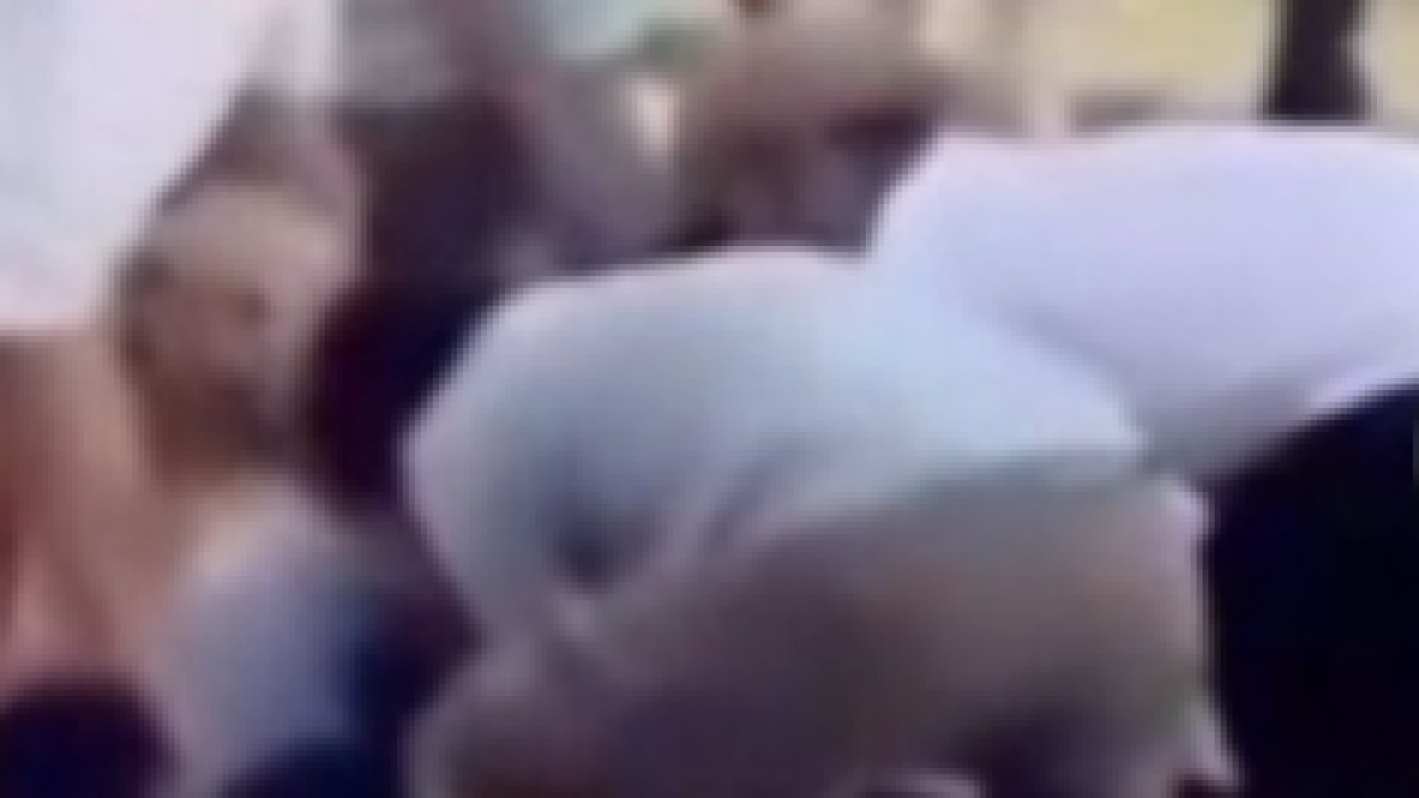 Sem-titulo-48 Sem-titulo-48