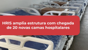 Sem título