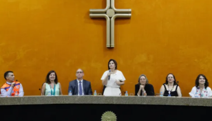 Sem título