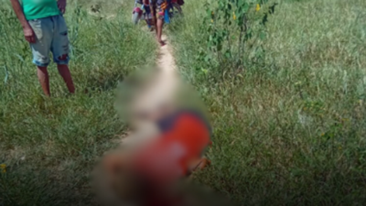 Sem-titulo-79 Sem-titulo-79