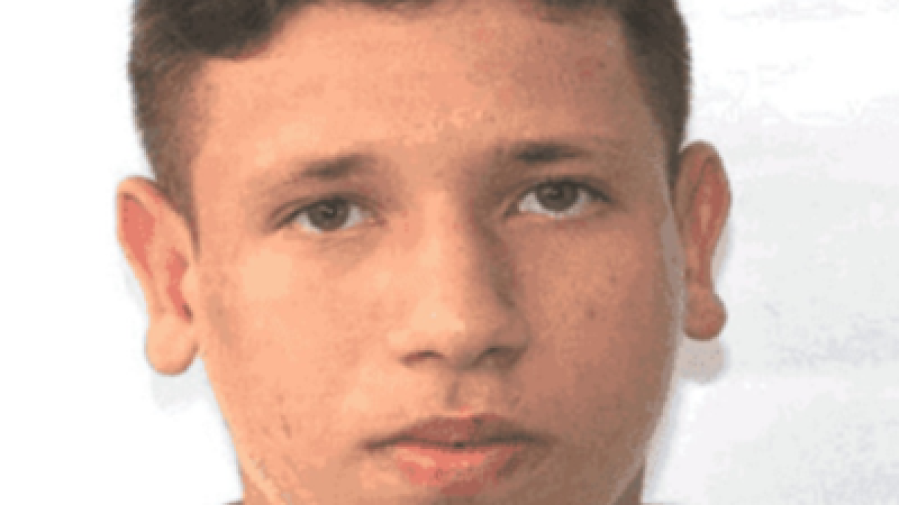 Sem título Sem título