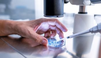 Semen-3