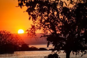 1 de 1 Imagem colorida do nascer do Sol em Brasília em meio a onda de calor - M