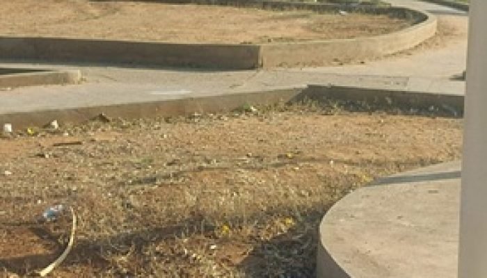 WhatsApp-Image-2025-09-16-at-10.24.26-e1758034480897