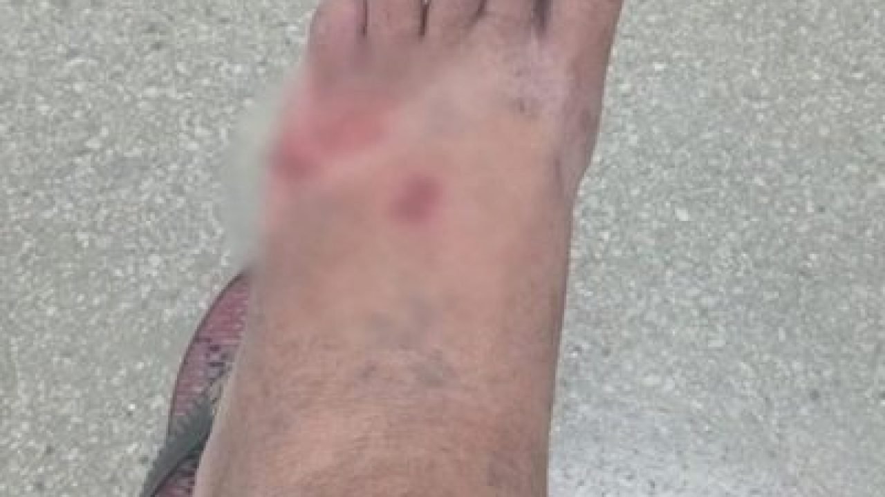 WhatsApp-Image-2026-01-26-at-12.48.45-e1769442783129