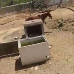 WhatsApp-Image-2026-02-13-at-12.21.01