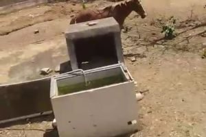 WhatsApp-Image-2026-02-13-at-12.21.01