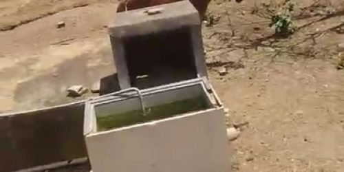 WhatsApp-Image-2026-02-13-at-12.21.01