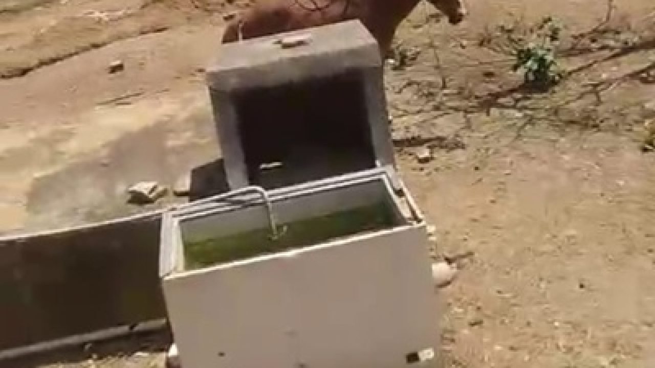 WhatsApp-Image-2026-02-13-at-12.21.01