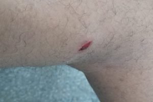 WhatsApp-Image-2026-03-11-at-14.36.05