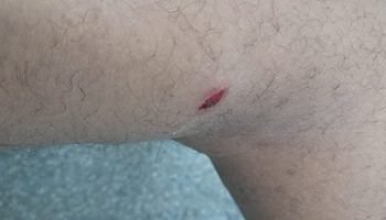 WhatsApp-Image-2026-03-11-at-14.36.05