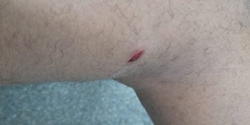 WhatsApp-Image-2026-03-11-at-14.36.05