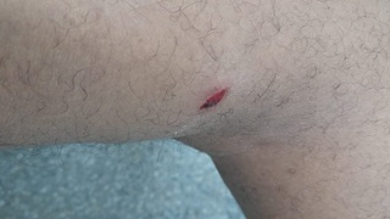 WhatsApp-Image-2026-03-11-at-14.36.05