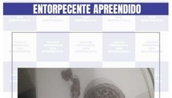 WhatsApp-Image-2026-1-1