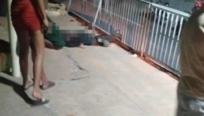 a0a10713-441f-4474-80f0-c72d775d37b4