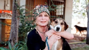 a5a4e864-brigitte-bardot-1193x800