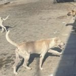 abbaf111-b3cc-4124-8216-f12ab7403a86-640x330