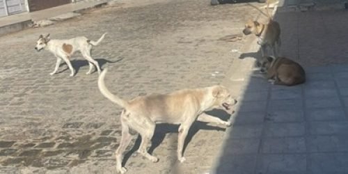 abbaf111-b3cc-4124-8216-f12ab7403a86-640x330