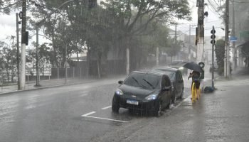 ad682252-temporal-sp-zl-2