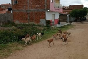 ae171b52-d994-4bd9-8178-638506c8f294-427x330