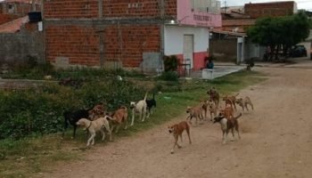 ae171b52-d994-4bd9-8178-638506c8f294-427x330