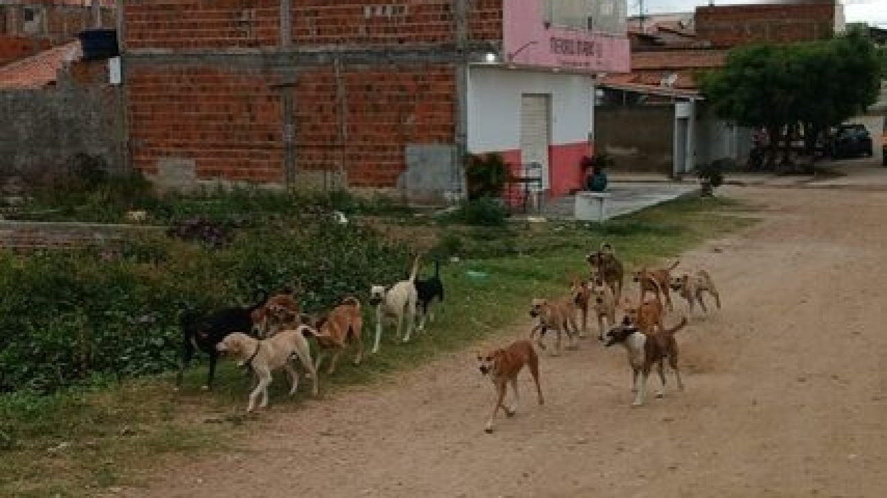 ae171b52-d994-4bd9-8178-638506c8f294-427x330