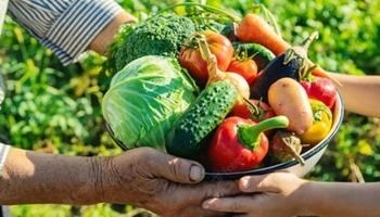 agricultura-contag-1-660x330-1