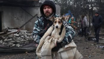 ataque-com-drone-russo-atinge-abrigo-e-mata-caes-em-zaporizhzhia