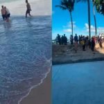 ataque_de_tubarao_em_boa_viagem-898437