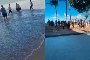 ataque_de_tubarao_em_boa_viagem-898437