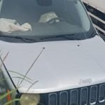 b0b0426a-97b5-467a-ada3-f846595377e4-567x330