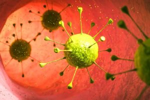 bacteria-cancer-intestinal