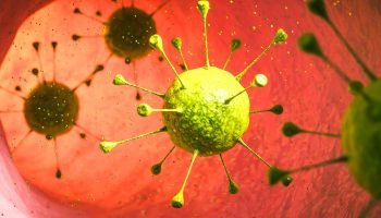 bacteria-cancer-intestinal