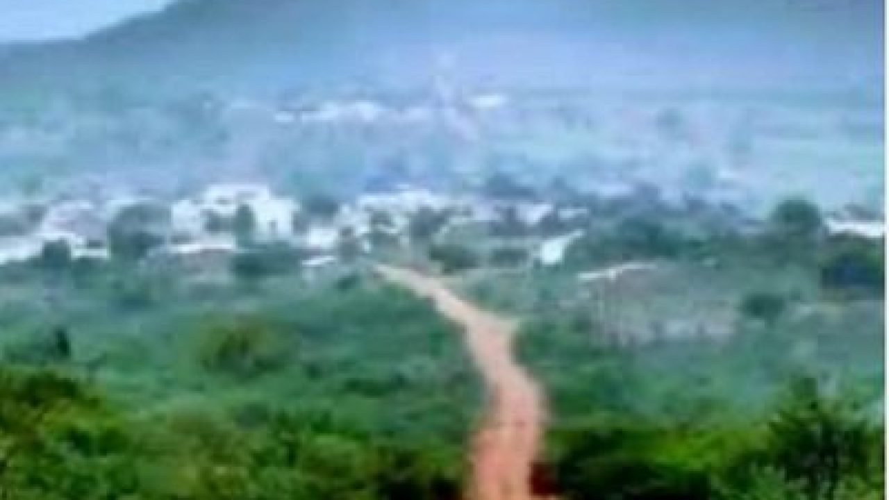 c50c82e0-fae5-42fe-bd90-399e75682280 c50c82e0-fae5-42fe-bd90-399e75682280