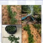 c7424f9c-9e6b-44aa-af8c-43c1878c1ef8-360x330