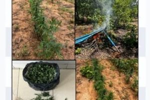 c7424f9c-9e6b-44aa-af8c-43c1878c1ef8-360x330