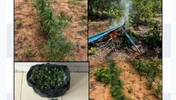 c7424f9c-9e6b-44aa-af8c-43c1878c1ef8-360x330