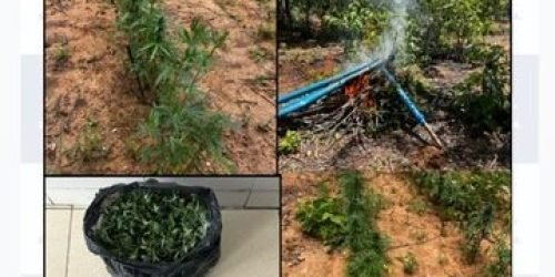 c7424f9c-9e6b-44aa-af8c-43c1878c1ef8-360x330