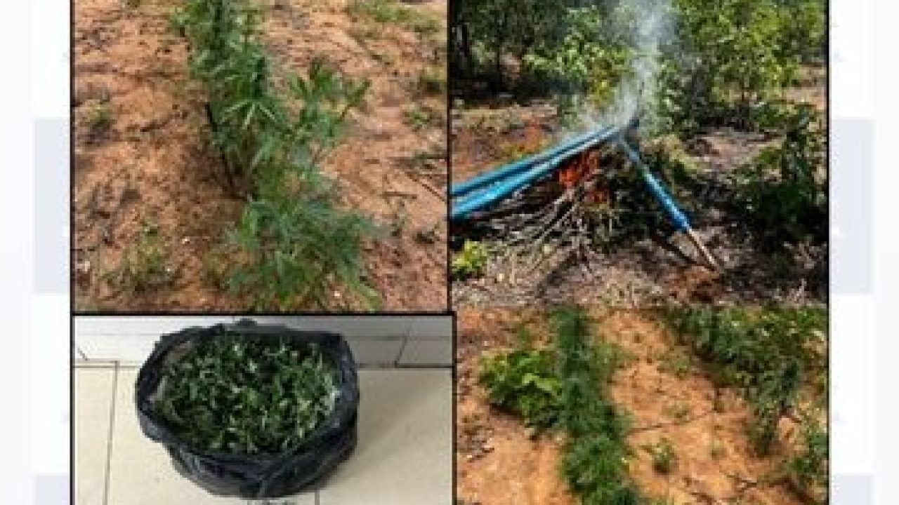 c7424f9c-9e6b-44aa-af8c-43c1878c1ef8-360x330