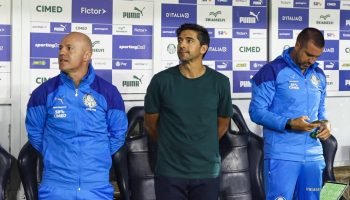 c7781718-abel-ferreira-palmeiras-x-santos