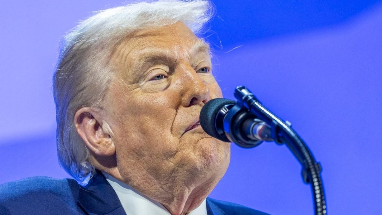 c8dba2c9-55053074222_7534be025c_k