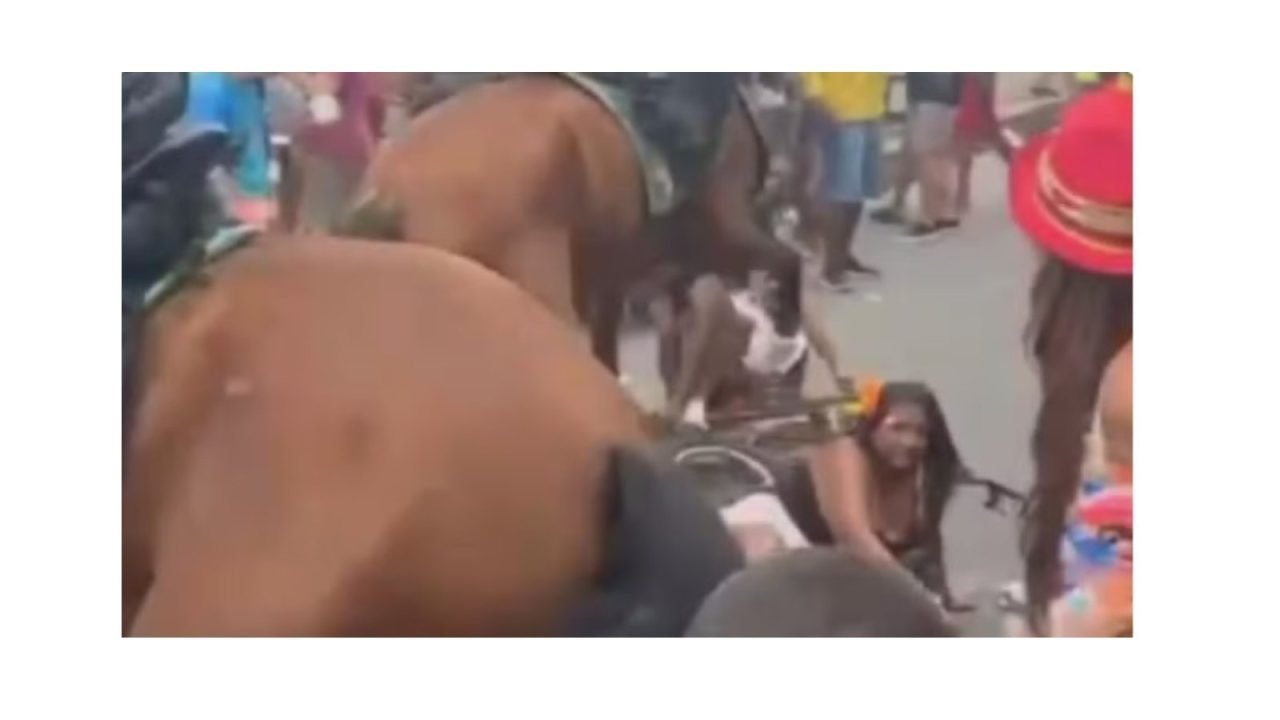 caavalo-36464068 caavalo-36464068